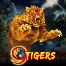 9 Tigres