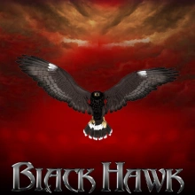 Falcão Negro