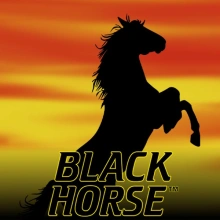 Cavalo preto