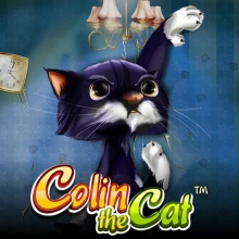 Colin, o gato
