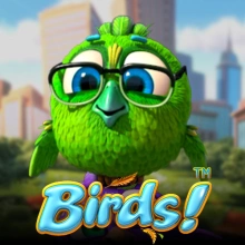 Birds!