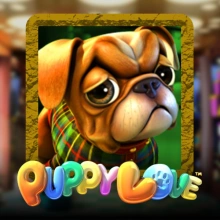Puppy Love PLUS