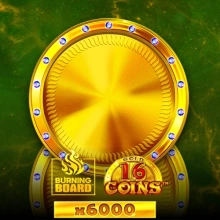 16 Coins Gold Burning Board