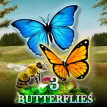 3 Butterflies