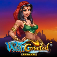 Wish Granted