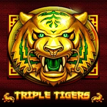 Dreifach-Tiger