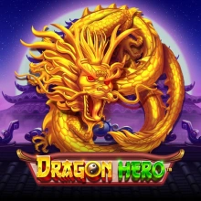 Drache Held