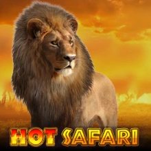 Heiße Safari