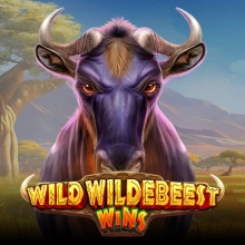 Wildes Gnu gewinnt