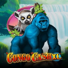 Kongo Cash XL