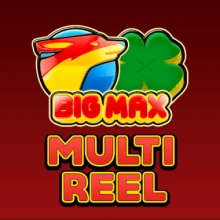 Big Max Multi Reel