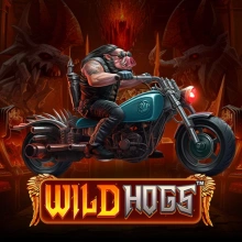 Wild Hogs