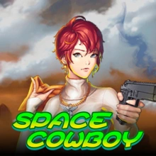 Space Cowboy