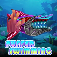 Puffer Swimming