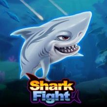Shark Fight