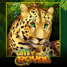 Cats Royal