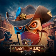 Se buscan Wildz