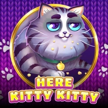 Aquí Kitty Kitty