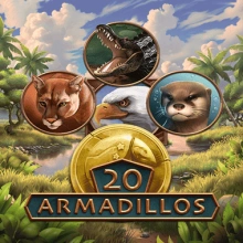 20 Armadillos