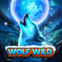 Loup sauvage
