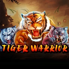 Tiger Warrior