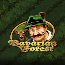 Foresta bavarese