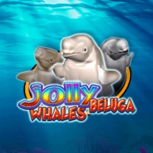 Balene Beluga allegre