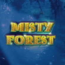 Foresta nebbiosa