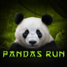 La course du panda