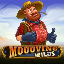 Wilds em movimento