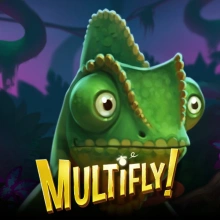 MultiFly!