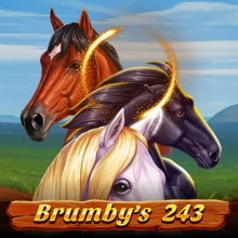 Brumby’s 243